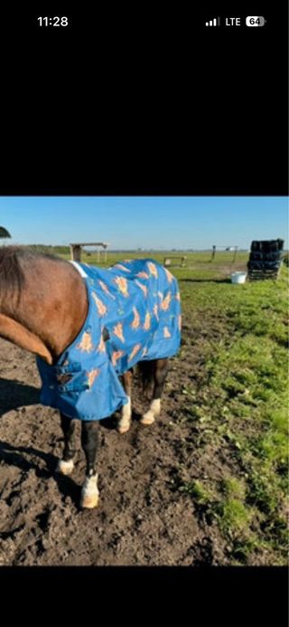 Manta impermeable para pony/potro/caballo 115