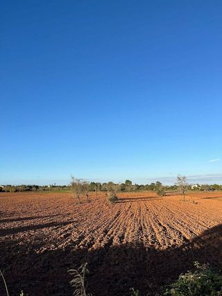 Terreno en venta en Porreres