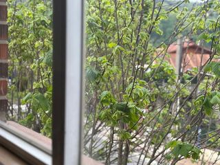 Local comercial en venta en Capuchinos - Galtzaraborda en Errenteria