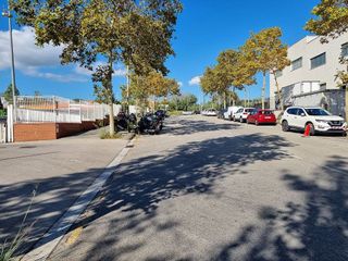 Oficina en alquiler en Pla d'en Boet en Mataró