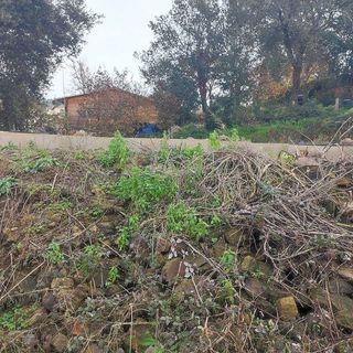 Terreno en venta en Residencial Park en Maçanet de la Selva