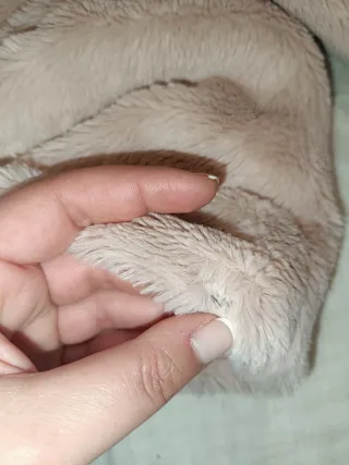 Chaqueta de peluche con capucha y orejas Talla 24m