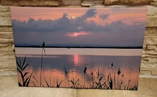 La Albufera al tramonto. Quadro su tela nuovo.
