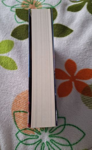 De Seúl al cielo (Literatura Mágica) (Spanish E...