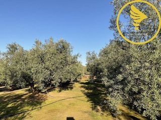 Casa rural en venta en Linares