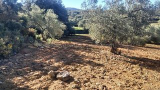 Terreno en venta en Ronda