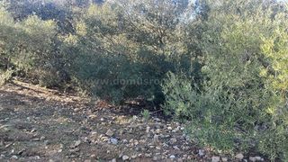 Terreno en venta en Ronda