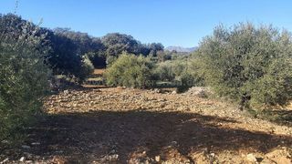 Terreno en venta en Ronda