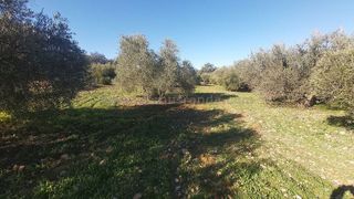 Terreno en venta en Ronda