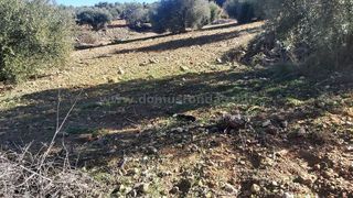 Terreno en venta en Ronda
