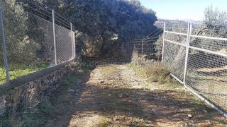 Terreno en venta en Ronda