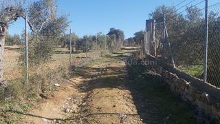 Terreno en venta en Ronda