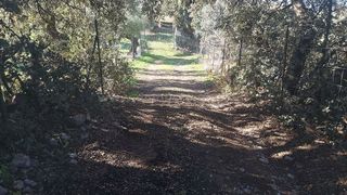 Terreno en venta en Ronda