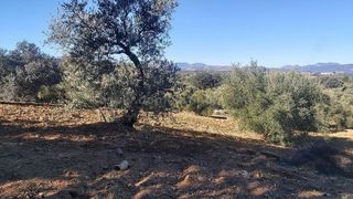 Terreno en venta en Ronda