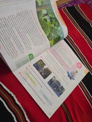 LENGUA MOCHILA LIGERA 4 PRIMARIA CONSTRUYENDO M...