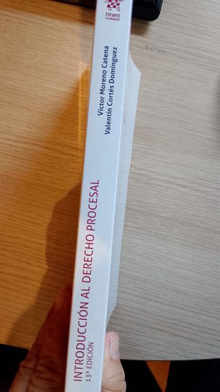 Introducción al Derecho Procesal 13ª Edición