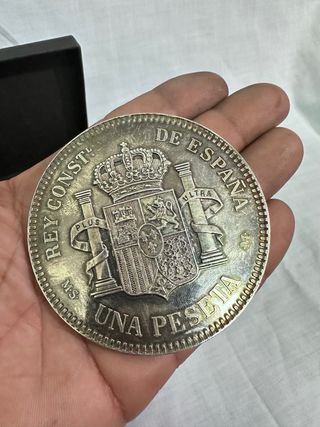 Medalla Felipe de Borbón Príncipe de Asturias 2001