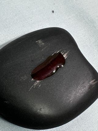 Medalla Felipe de Borbón Príncipe de Asturias 2001