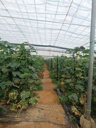 Terreno en venta en Salobreña