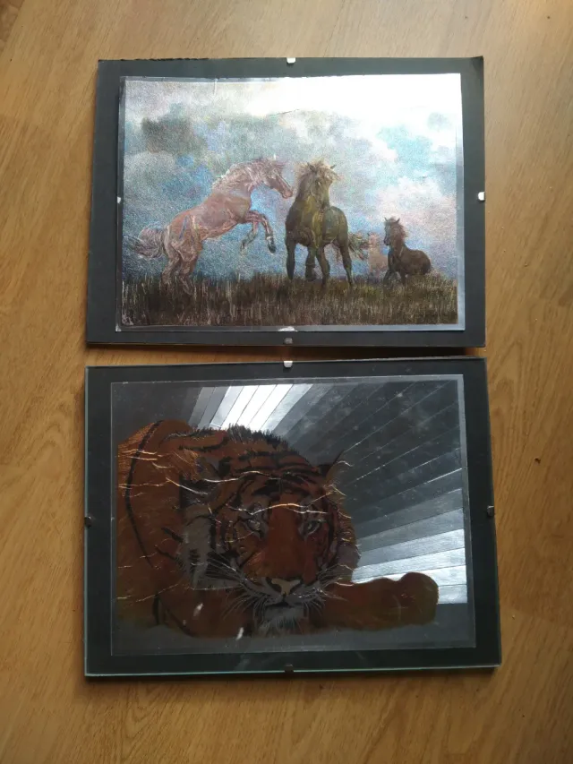 Láminas DUFEX Warren 1989