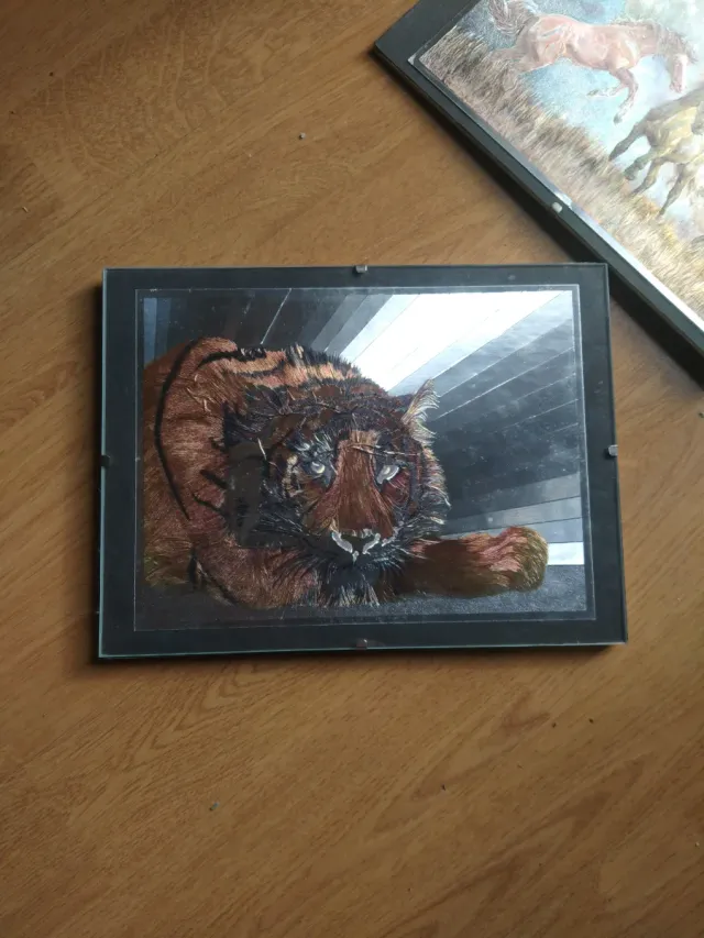 Láminas DUFEX Warren 1989