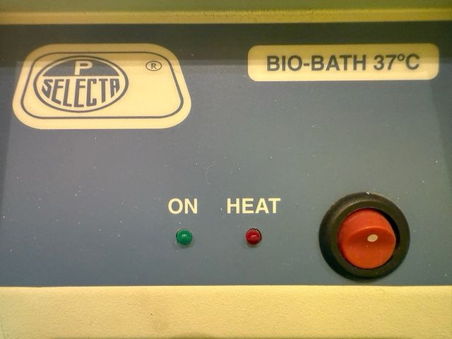 Calentador tubos BIO-BATH 37ºC JP Selecta