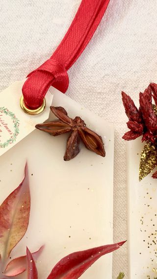 Coppia di targhette esagonali natalizie