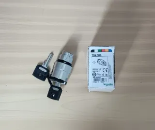 Interruptor con llave Schneider ZB4 BG3