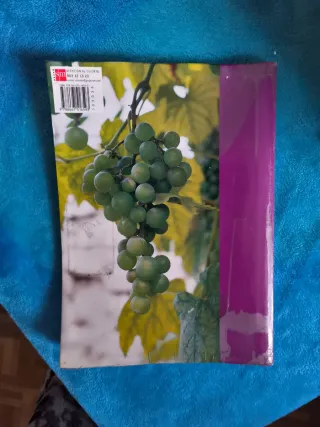 Religión católica. 1 ESO. Emaús