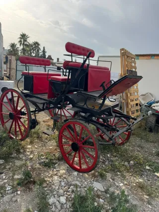 Carruaje Charret Coche de Caballo