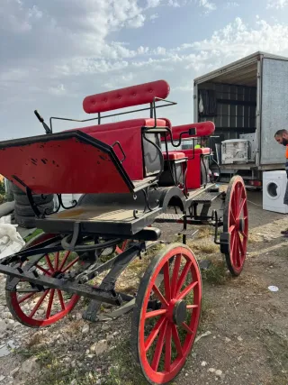 Carruaje Charret Coche de Caballo