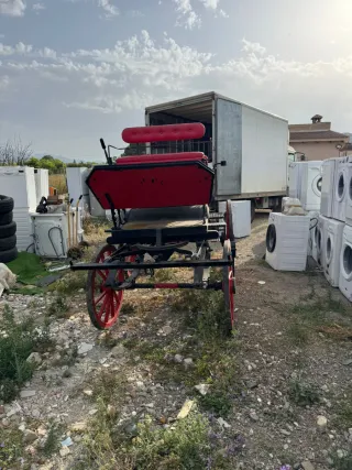 Carruaje Charret Coche de Caballo