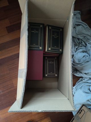 We Took to the Woods