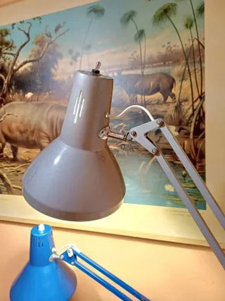 Lampara flexo vintage Lamsar de arquitecto grande