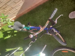 Bici niño 5-8 años