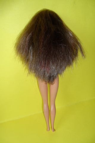 Barbie castana Posh Pets vintage Teresa 2003 htf