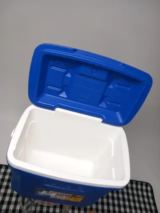 Nevera IGLOO Azul 28 litros