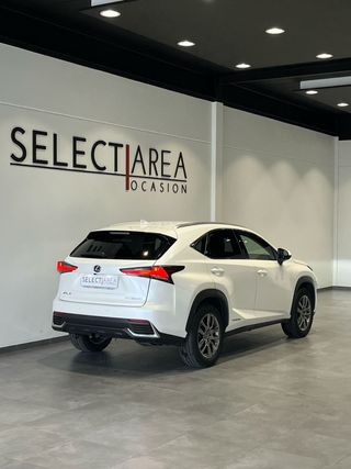 LEXUS NX 2.5 300H Executive Navigation 4WD - 2019