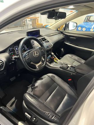 LEXUS NX 2.5 300H Executive Navigation 4WD - 2019