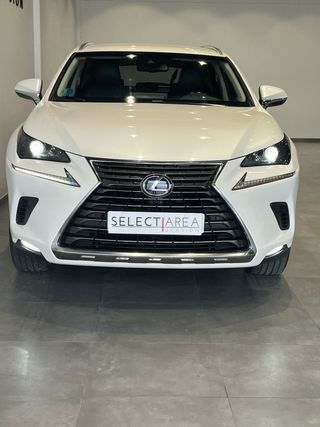 LEXUS NX 2.5 300H Executive Navigation 4WD - 2019