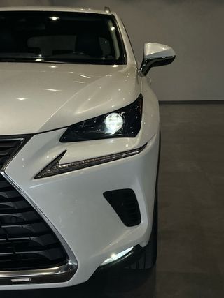 LEXUS NX 2.5 300H Executive Navigation 4WD - 2019