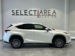 LEXUS NX 2.5 300H Executive Navigation 4WD - 2019