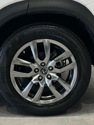 LEXUS NX 2.5 300H Executive Navigation 4WD - 2019