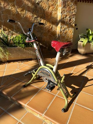 Bicicleta Gimnástic Torrot.