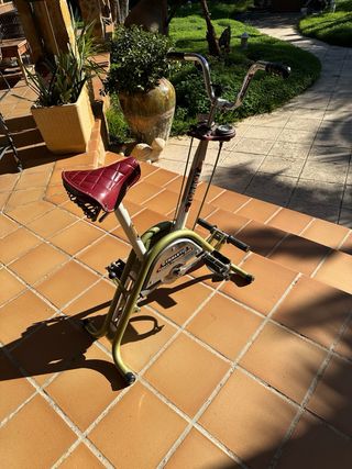 Bicicleta Gimnástic Torrot.