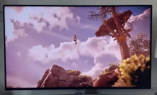 Televisor LG de 49 pulgadas (49”) LED 4K UHD