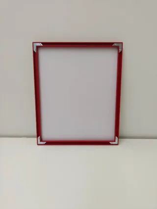 Cuadro Anatomía y Flores