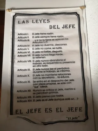 Lote 5 Posters Tela Decorativos