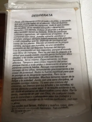 Lote 5 Posters Tela Decorativos