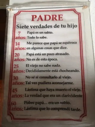 Lote 5 Posters Tela Decorativos